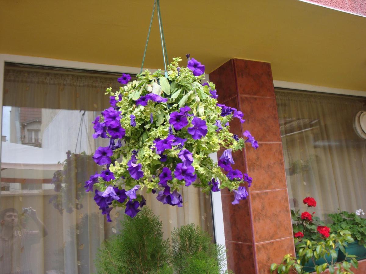 Hotel Color Varna Esterno foto
